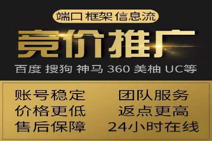 真实案例解析：SEM代运营托管公司的优势与挑战